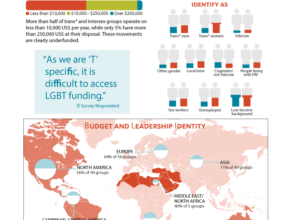 Infosheet: The State of Trans* and Intersex Organizing Globally