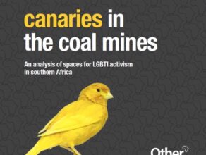 The Other Foundation’s Canaries in the Coal Mines Reports