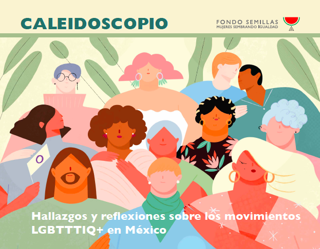 Caleidoscopio: Hallazgos y reflexiones sobre los movimientos LGBTTTIQ+ en Mexico