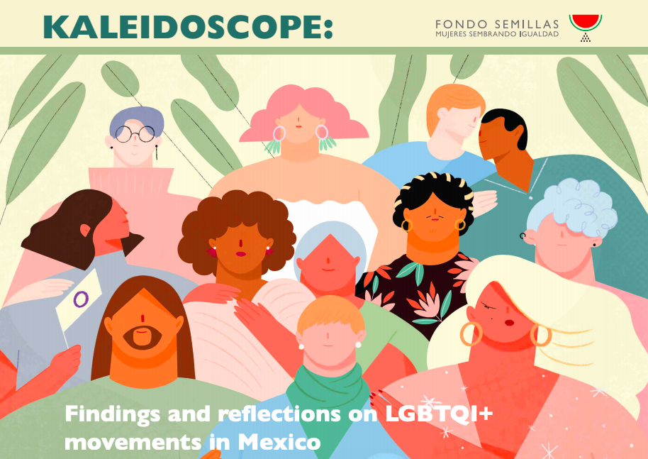 Kaleidoscope: Findings and reflections on LGBTQI+ Movements in Mexico