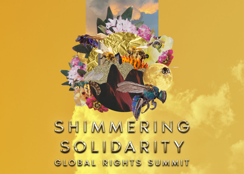 Shimmering Solidarity: Global Rights Summit