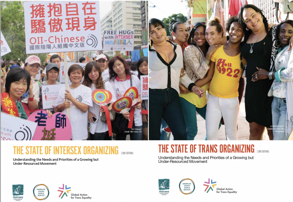 State of Trans and Intersex Organizing, 3rd Edition Surveys Launch 2023